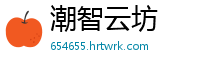 潮智云坊